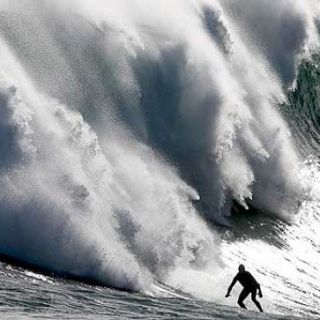 Charlie fa il Surf