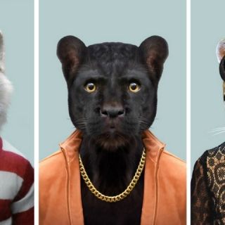 'Zoo Portraits', un elegante bestiario