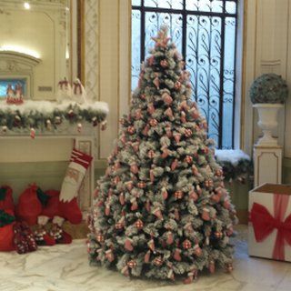 Renato Balestra : basta poco per regalare un sorriso