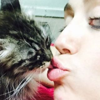 Celebrità in posa con i loro gatti